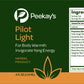 Pilot Light